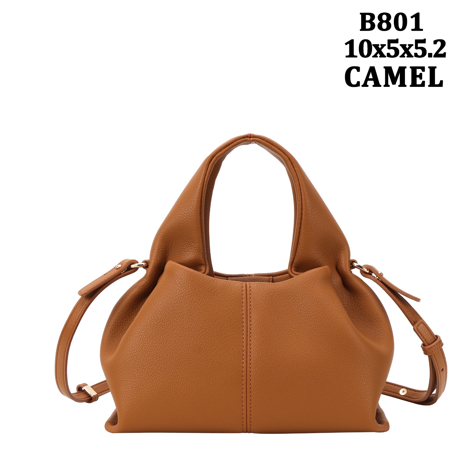 B801 camel