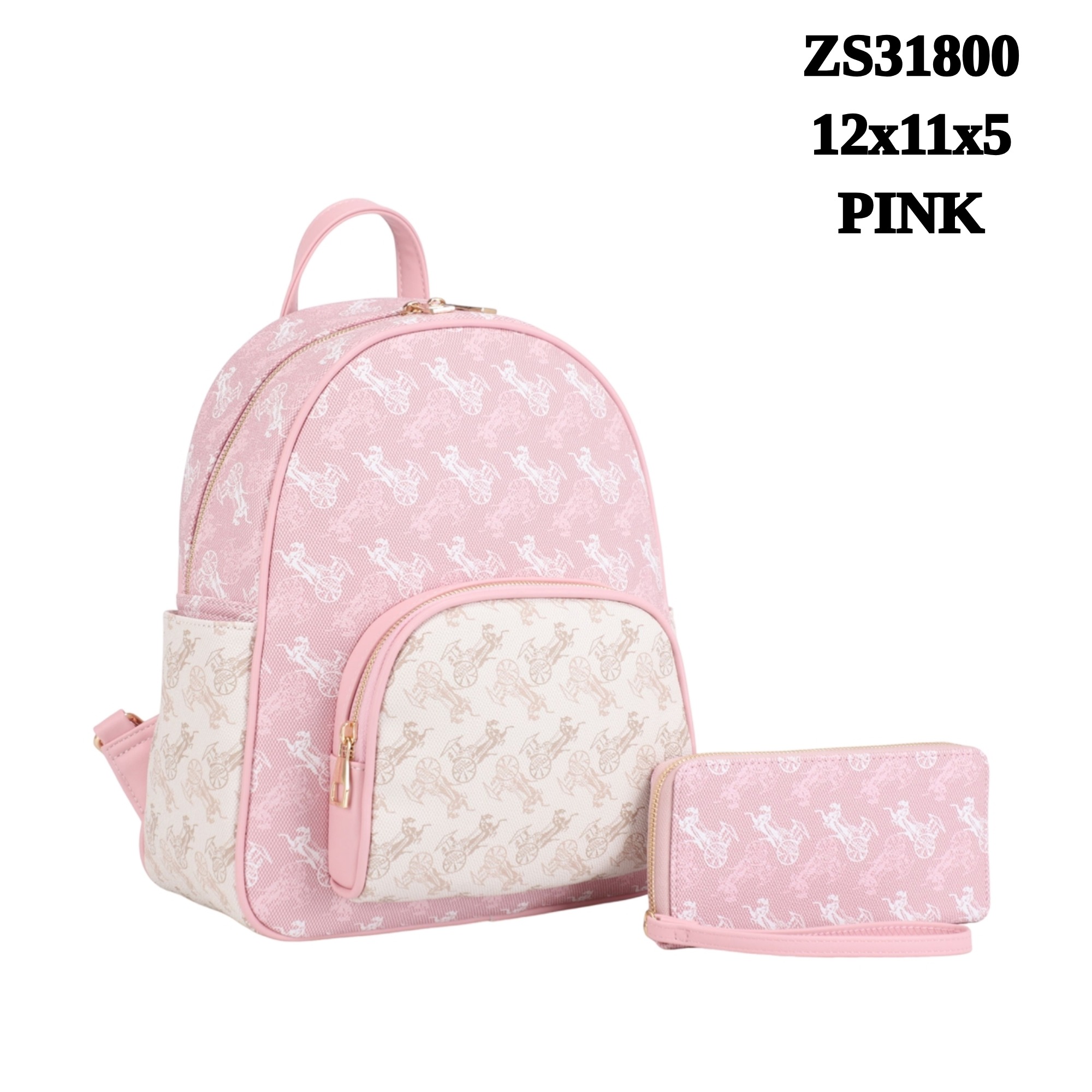 Zs31800 PINK